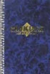 MUSICIANS RECORD KEEPER BLUE COVER-P.O.P. book cover